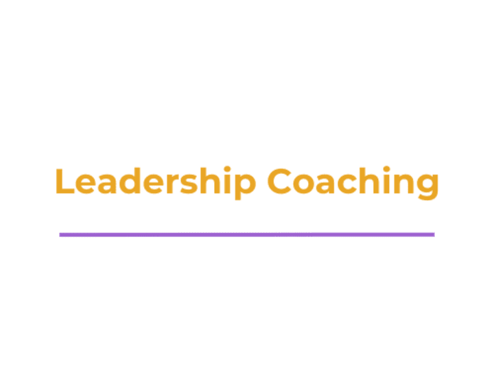 Cover image for Career Training for Future Leaders