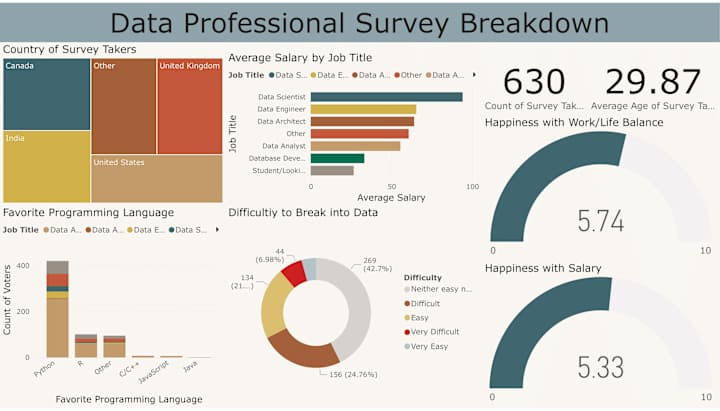 Cover image for Data Professional Survey Dashboard
