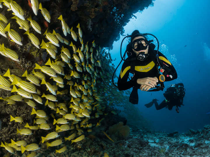 Cover image for Breathe | The smarter scuba dive log