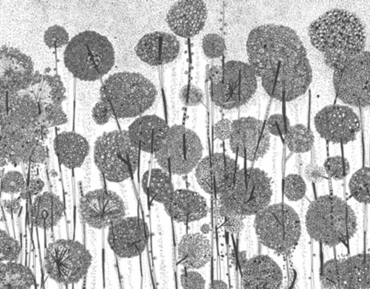 Cover image for I love to doodle!