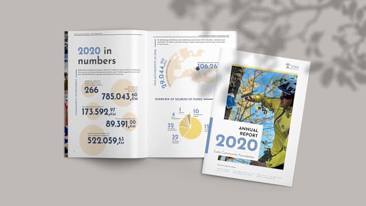 Cover image for ANNUAL REPORT - DTP and publication