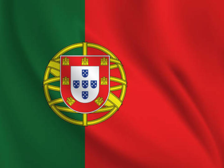 Cover image for Translator: Portuguese