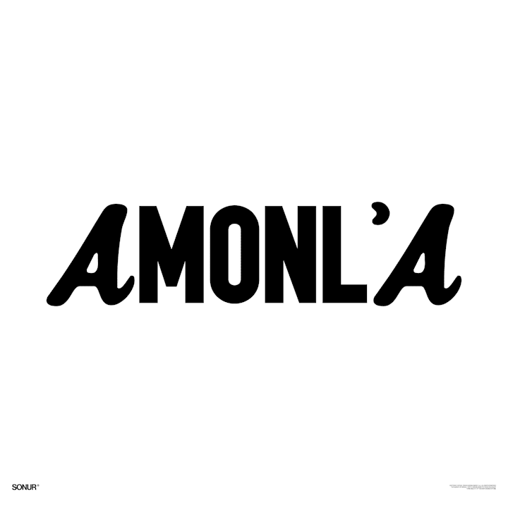 Cover image for The 'AMONL'A' Concept