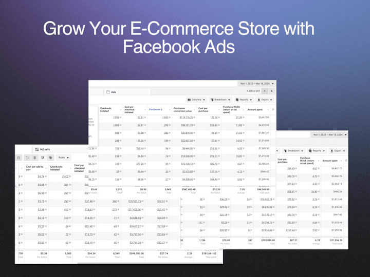 Cover image for Facebook Ads for E-Commerce & D2C Businesses