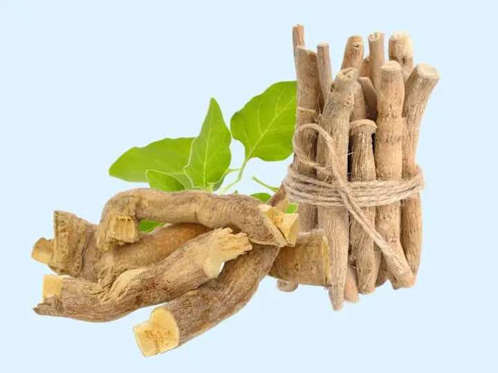 Cover image for Tongkat ali vs. Ashwagandha: Benefits and Uses - Healthplugged