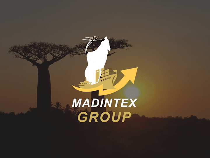 Cover image for Madintex-Group