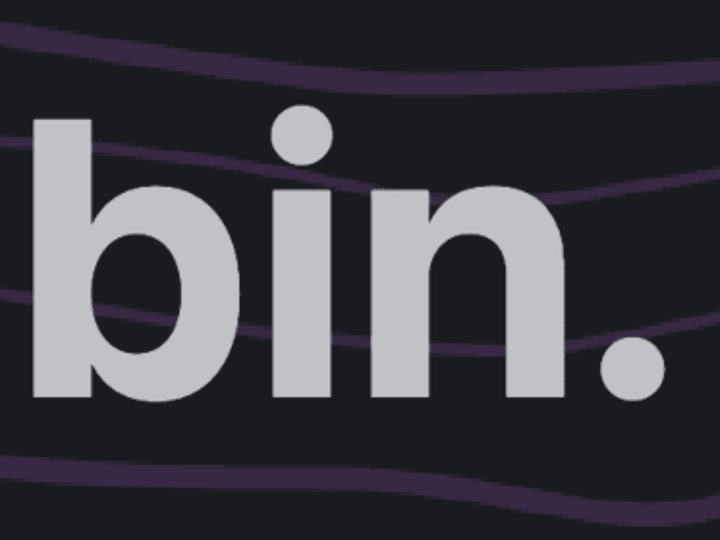 Cover image for anibin.