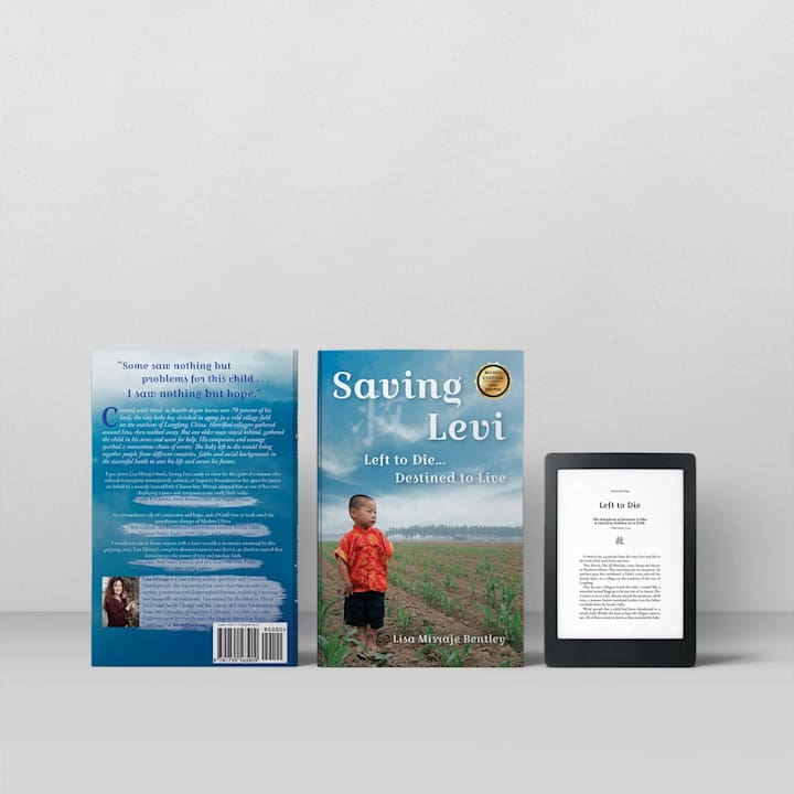 Cover image for Saving Levi - book and cover redesign