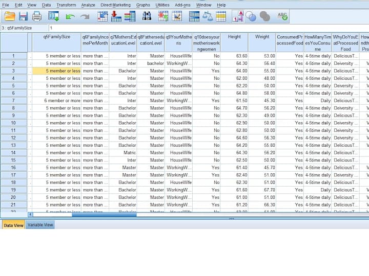 Cover image for Excel Data Enry