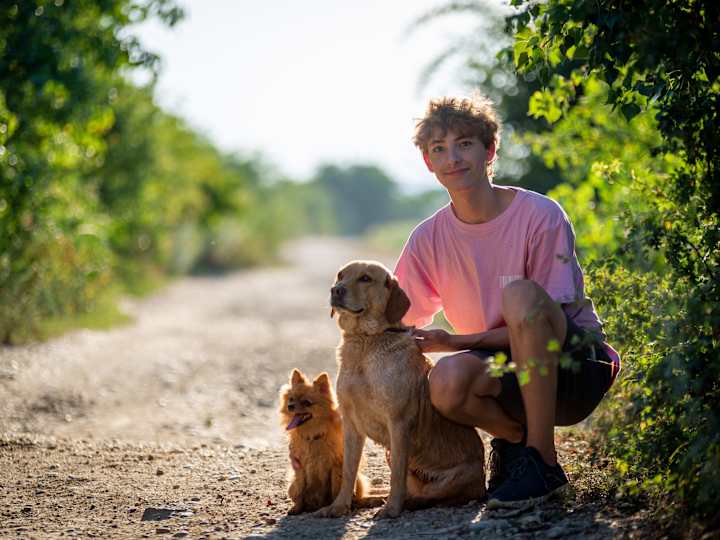 Cover image for Buggy and His dog