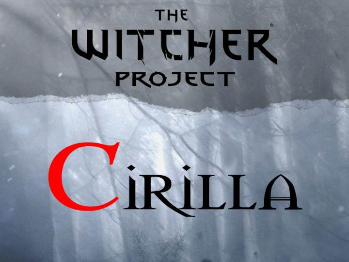 Cover image for Ciri - The Witcher Project