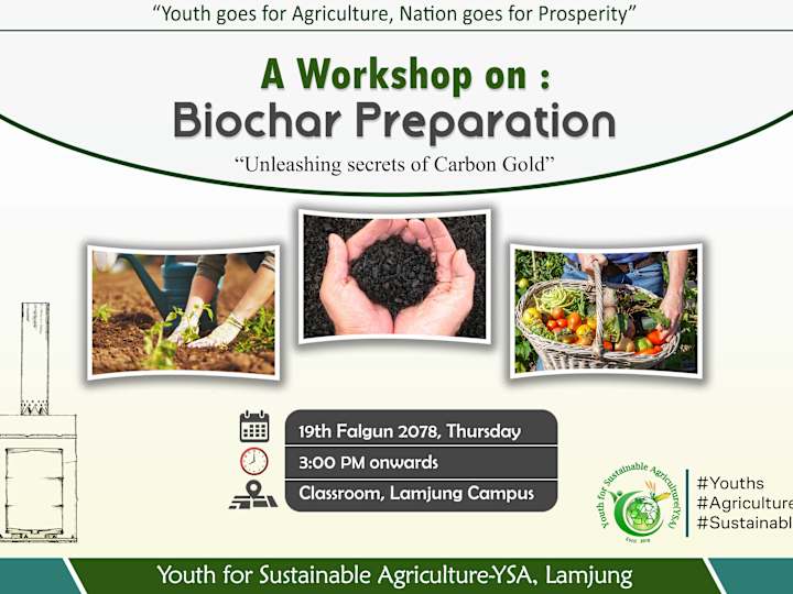 Cover image for Creative Flyer Design Service