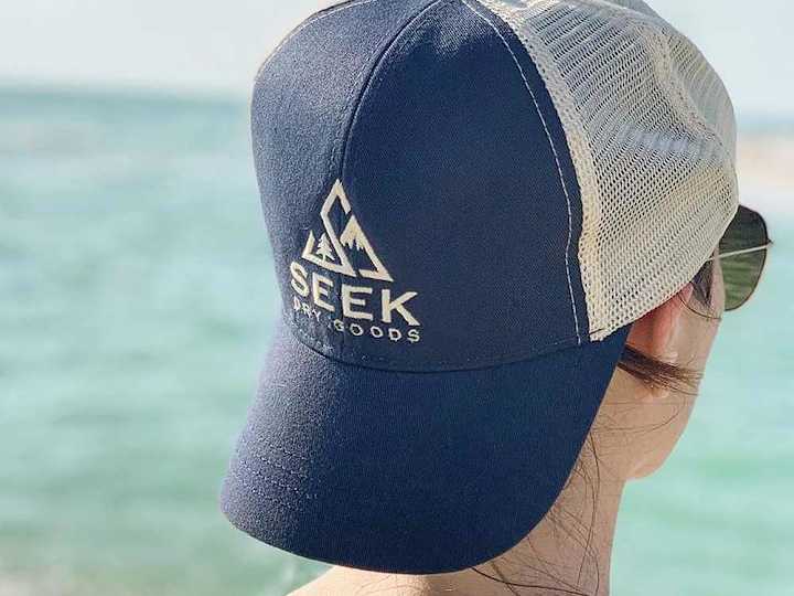 Cover image for Seek Dry Goods