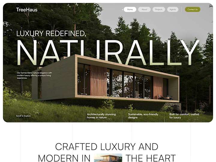 Cover image for Shopify Website Design and development.