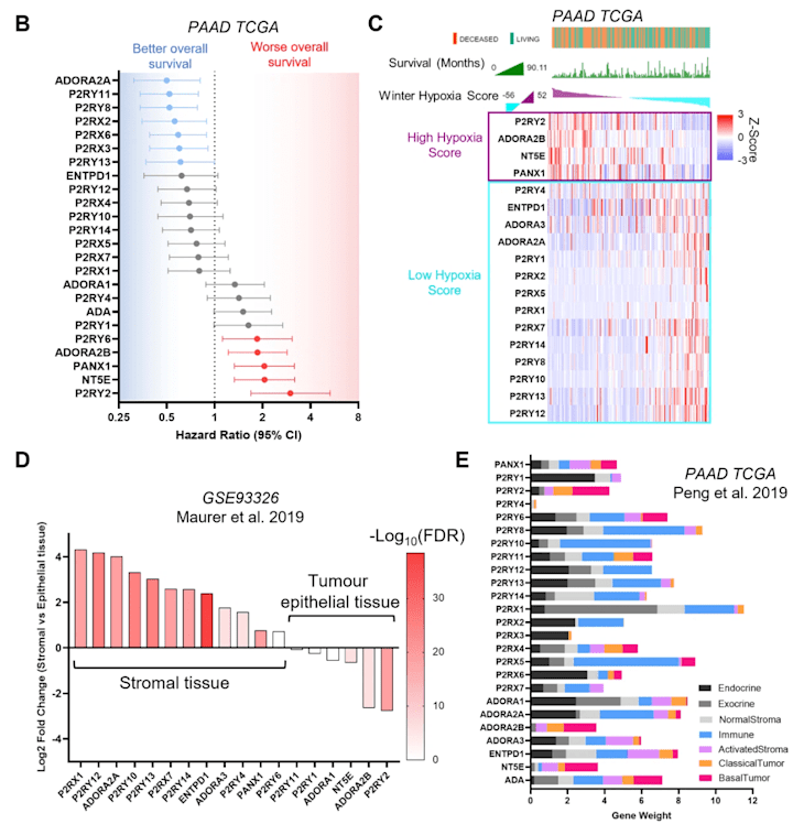 Cover image for Data Mining of Public Datasets for Cancer Research