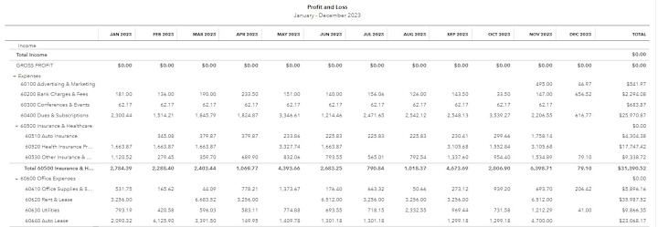 Cover image for Profit & Loss Statement