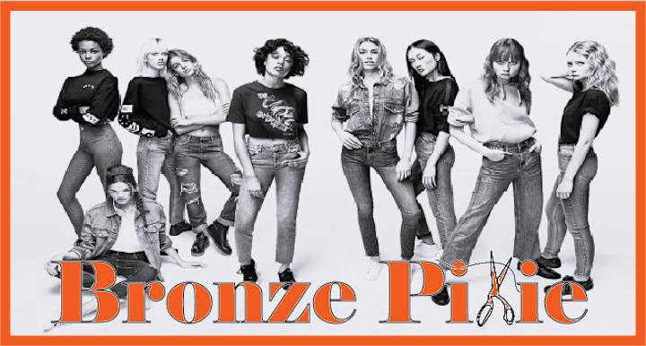 Cover image for BRONZE  PIXIE