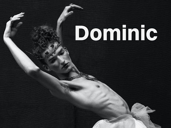 Cover image for Dominic Portfolio