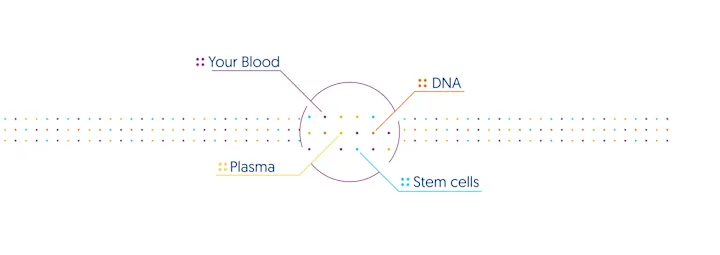 Cover image for Branding, UI/UX for Personalized Healthcare Platform & Biobank