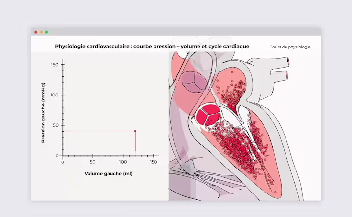 Cover image for Cardiovascular Physiology Animation Series