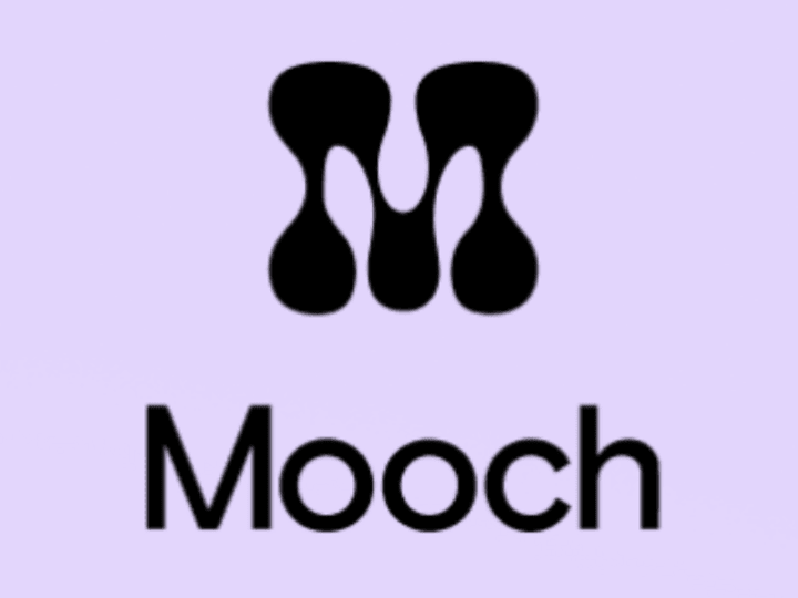 Cover image for Focusing on the big picture @ Mooch