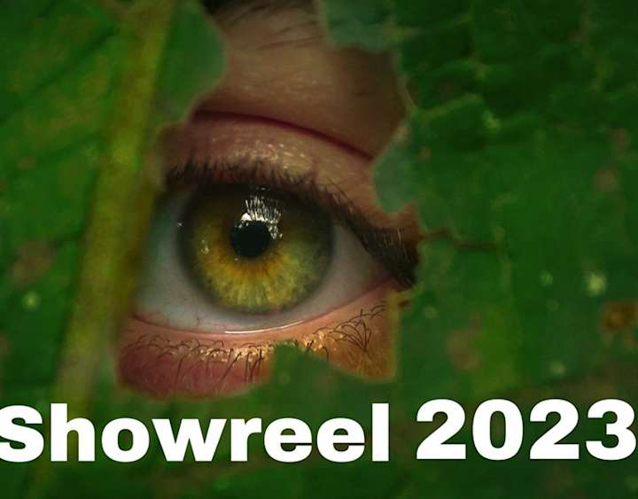 Cover image for showreel 2023 on Behance