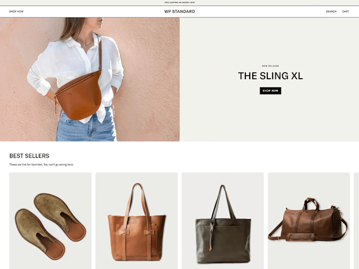 Cover image for WP Standard a Visually appealing and Modern Store