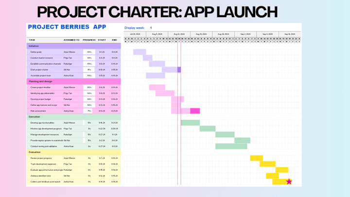 Cover image for Project Manager | Charter, Technical Writing & Process Flow Maps