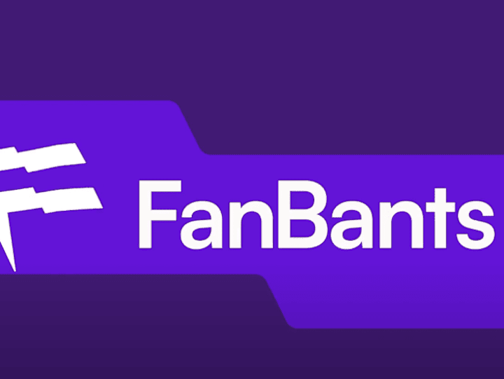 Cover image for FanBants Explainer