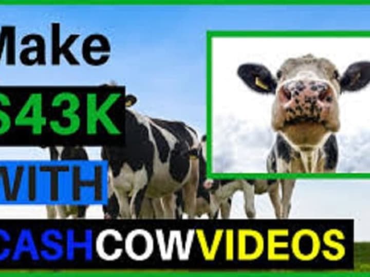 Cover image for I will make a professional cash cow channel, cash cow videos