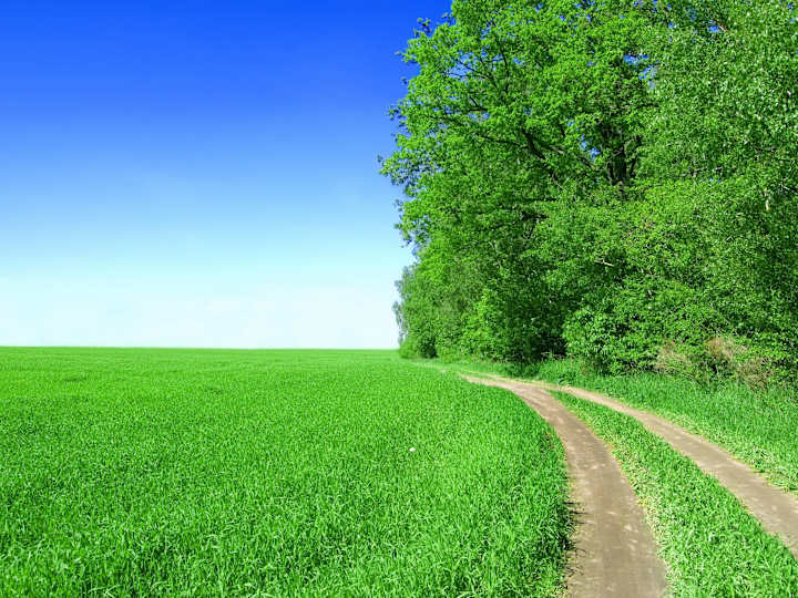 Cover image for customer service support