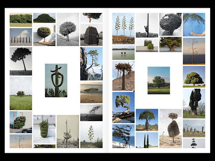Cover image for 1 0 0 9: Branding & Website (Full-service)