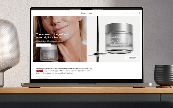 Cover image for Timeline E-Commerce Store Case Study