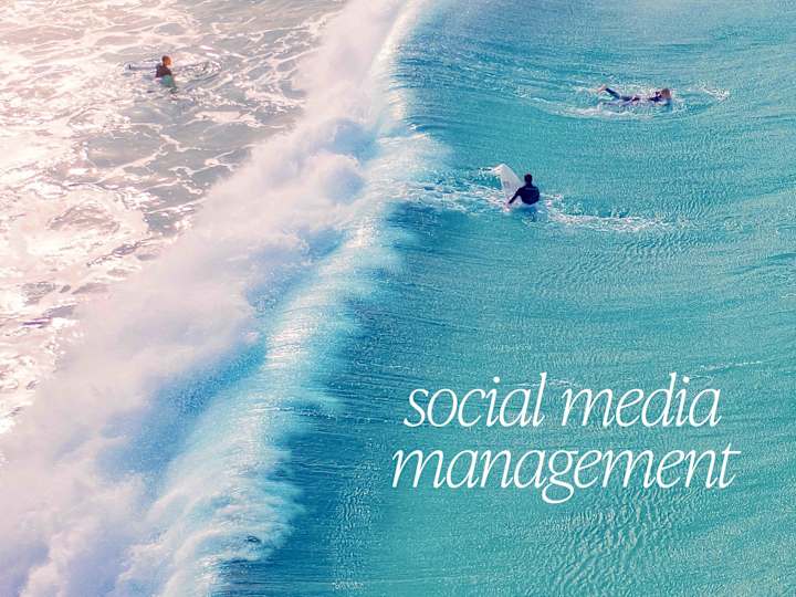 Cover image for Social Media Management