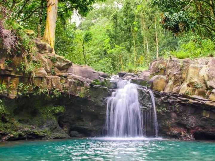 Cover image for Hawaii: Maui Rainforests