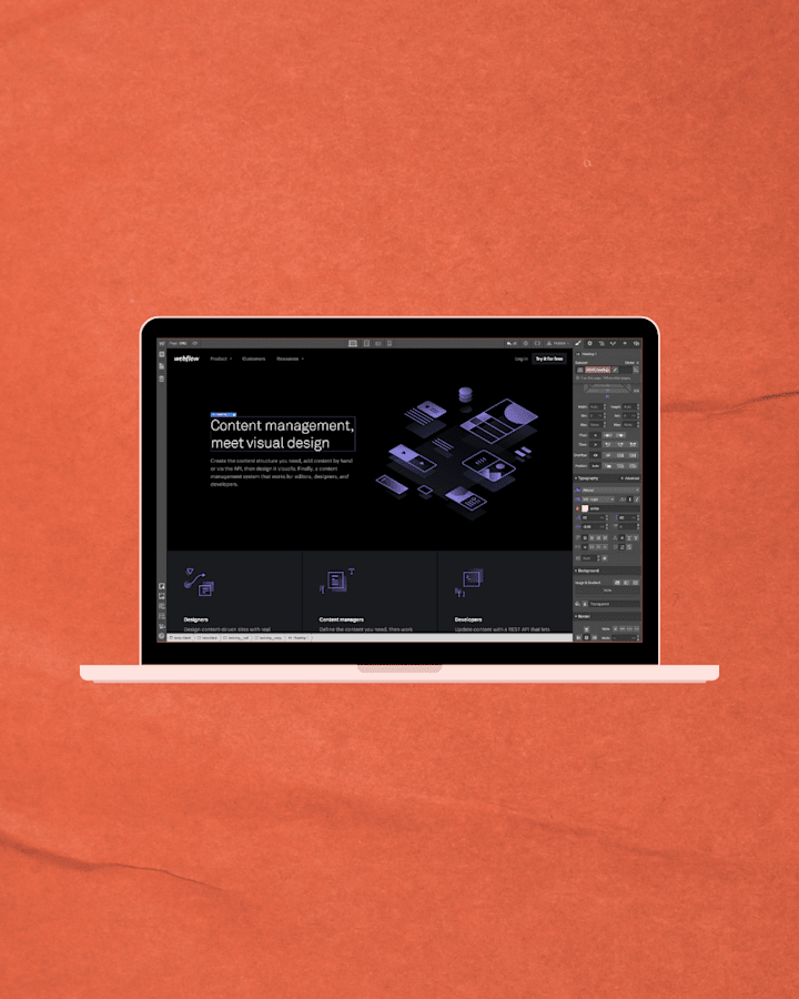 Cover image for Web Development