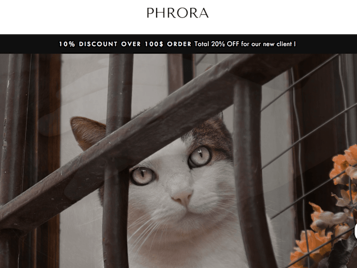 Cover image for Phrora