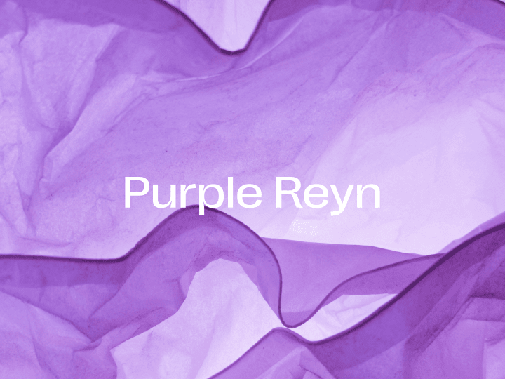 Cover image for Purple Reyn |  A new player in the consulting space