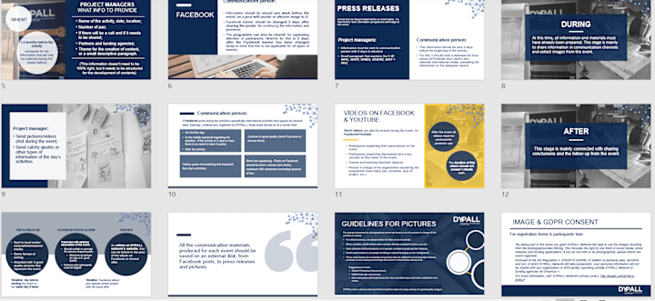 Cover image for Communication strategies and organisations objectives (DYPALL)