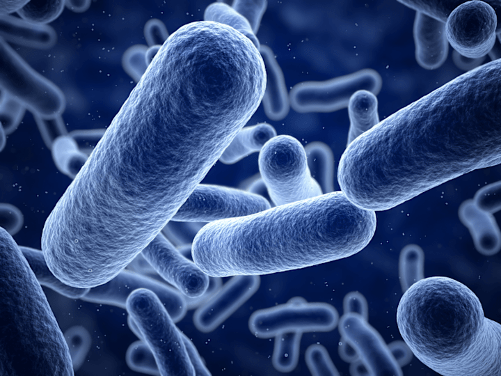 Cover image for Blog Article: Bacteria in the home