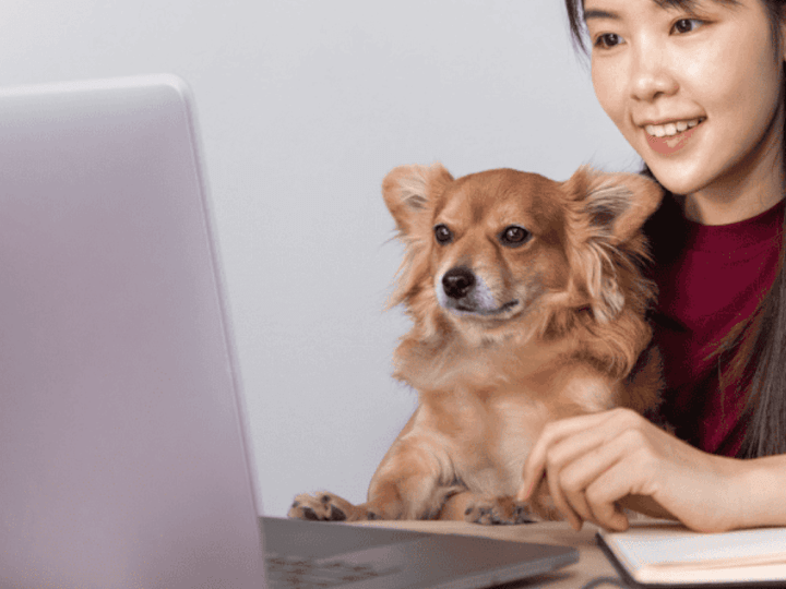 Cover image for Driving eCommerce Sales with Paid Media During Holidays 