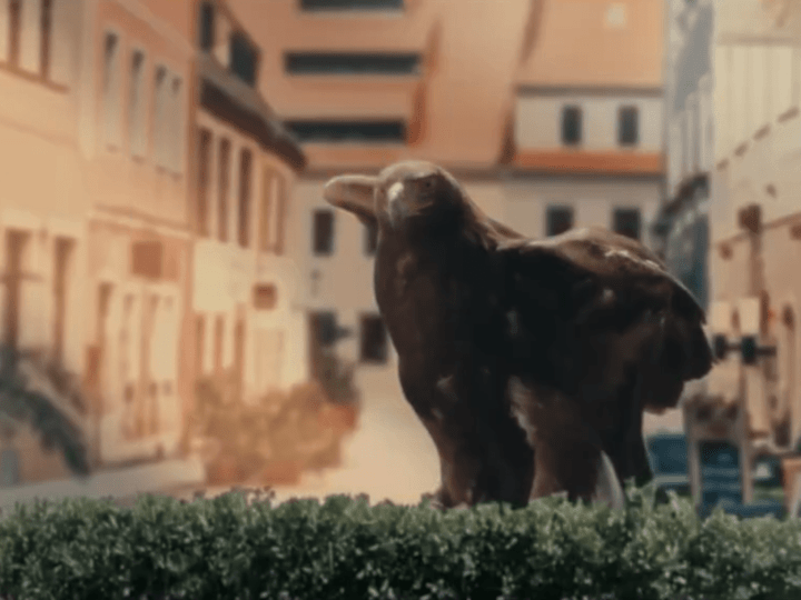 Cover image for VFX Compositing Showreel
