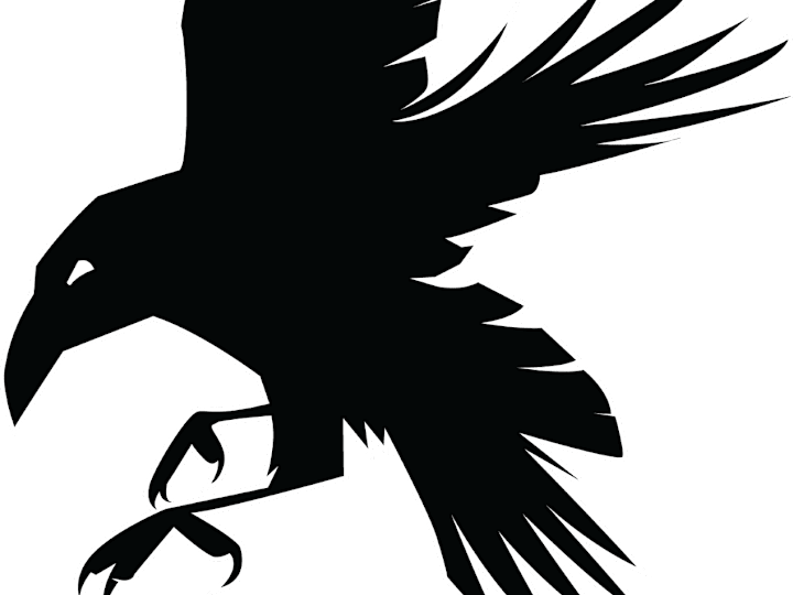 Cover image for Portfolio
