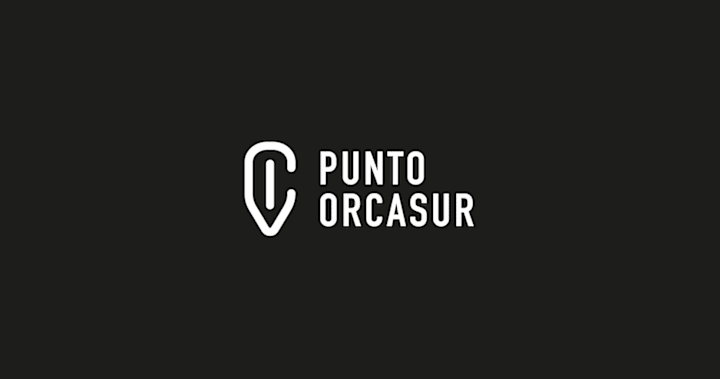 Cover image for Branding for Punto Orcasur