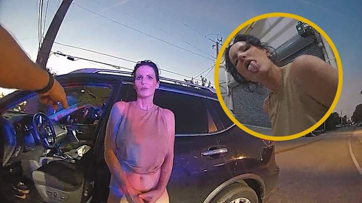 Cover image for Pornstar Karen Has A Meltdown After Getting Pulled Over Without…