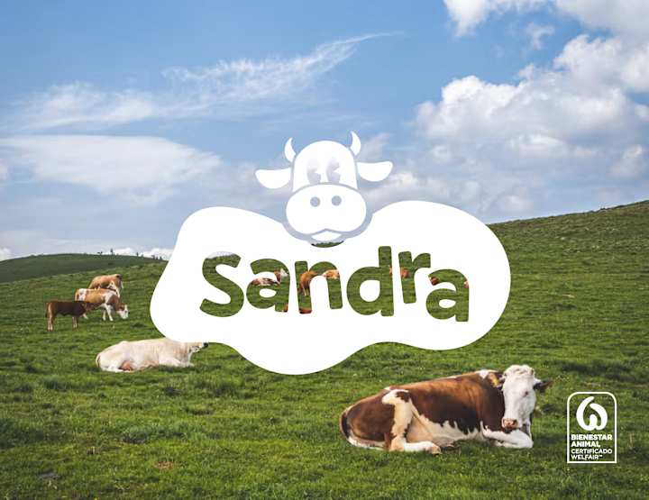 Cover image for Leche Sandra