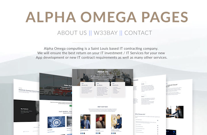 Cover image for Website for "Alpha Omega Computing LLC"