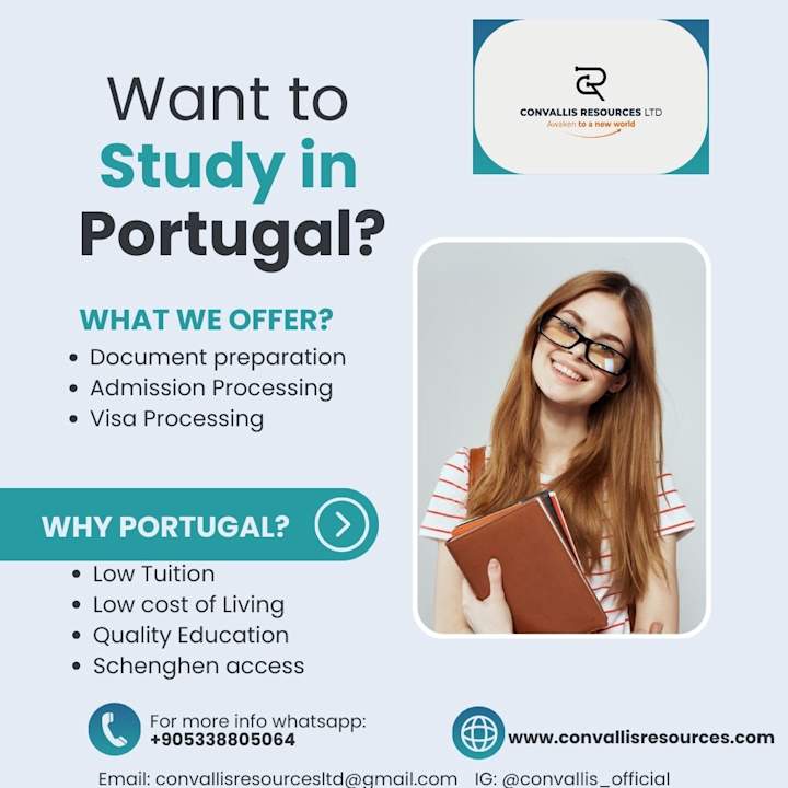 Cover image for Flyer advert for an Education consultancy agency