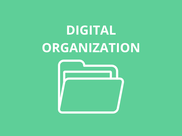 Cover image for Digital Organization