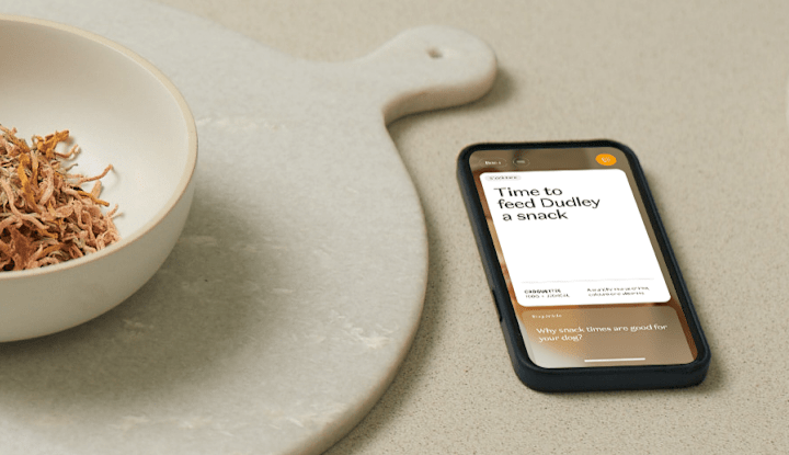 Cover image for Ilume App